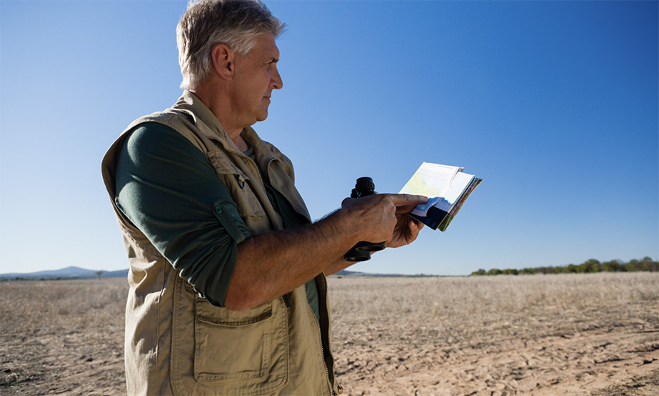 Badania gruntu przed inwestycją – co musi zawierać profesjonalny raport?