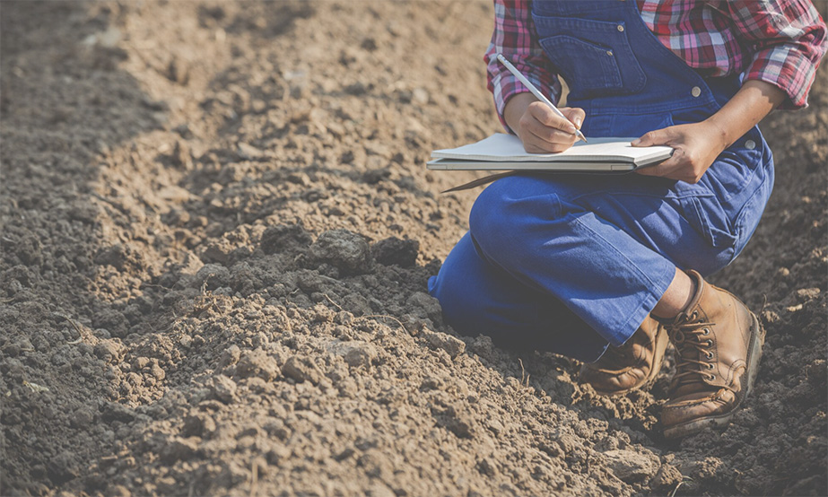 Projekt remediacji: dlaczego dokładne badania gruntu są ważniejsze niż technologia oczyszczania?