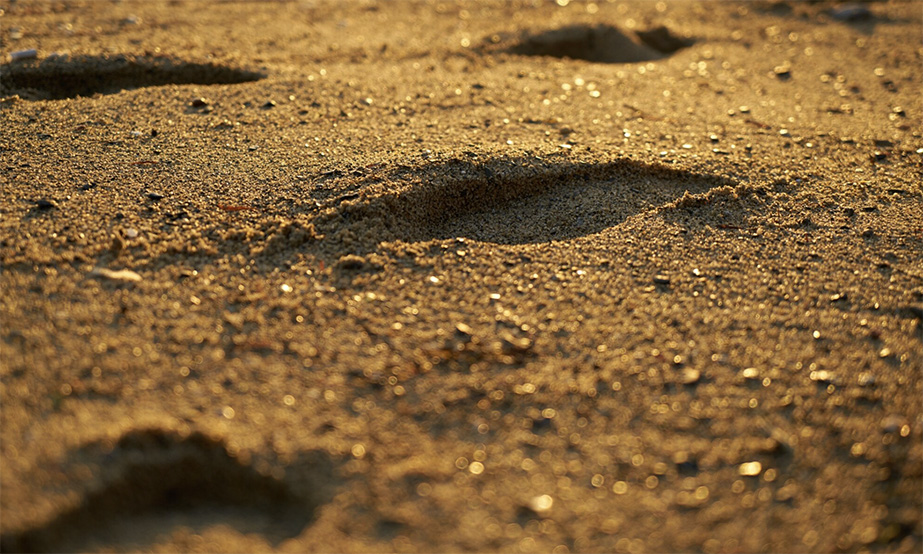 Jak interpretować wyniki badań gruntu zanieczyszczonego węglowodorami? Praktyczny manual