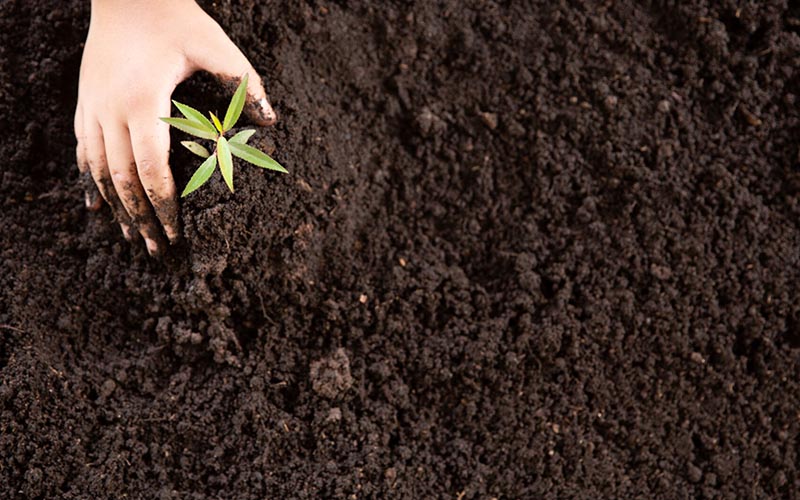 Zanieczyszczony grunt to nie wyrok – nowoczesne metody oczyszczania terenów zdegradowanych