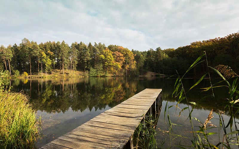 Dlaczego jeziora tracą przejrzystość? Prawdziwe przyczyny degradacji zbiorników wodnych