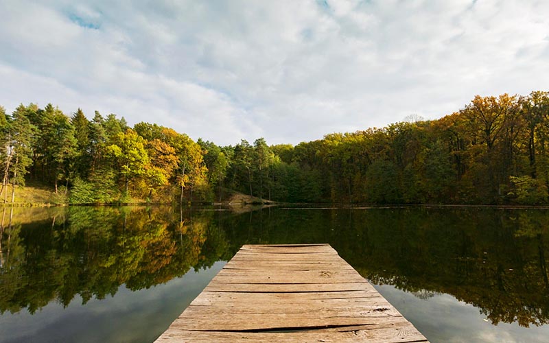 Inaktywacja fosforu w osadach dennych – przełom w walce z zakwitami sinic