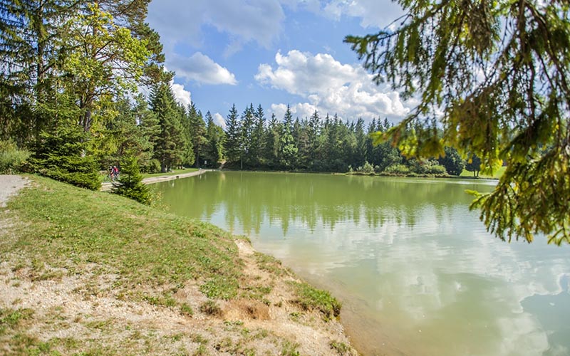 Suplementy glebowe a jakość plonów – fakty, nie mity