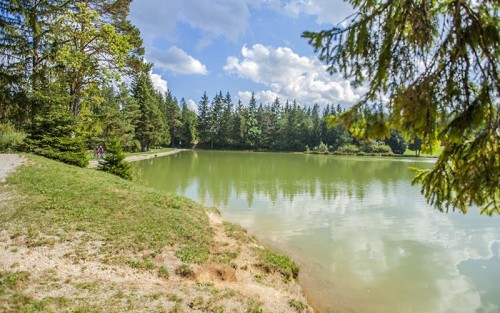 Suplementy glebowe a jakość plonów – fakty, nie mity