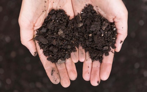 Zamykanie obiegu składników odżywczych – przyszłość rolnictwa i środowiska