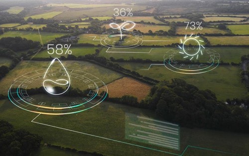 Ekologia w praktyce, nie w teorii – jak naprawdę wygląda ochrona środowiska dziś