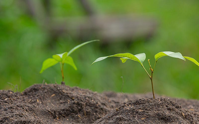 Technologie środowiskowe jutra – czego możemy się spodziewać w najbliższych latach?